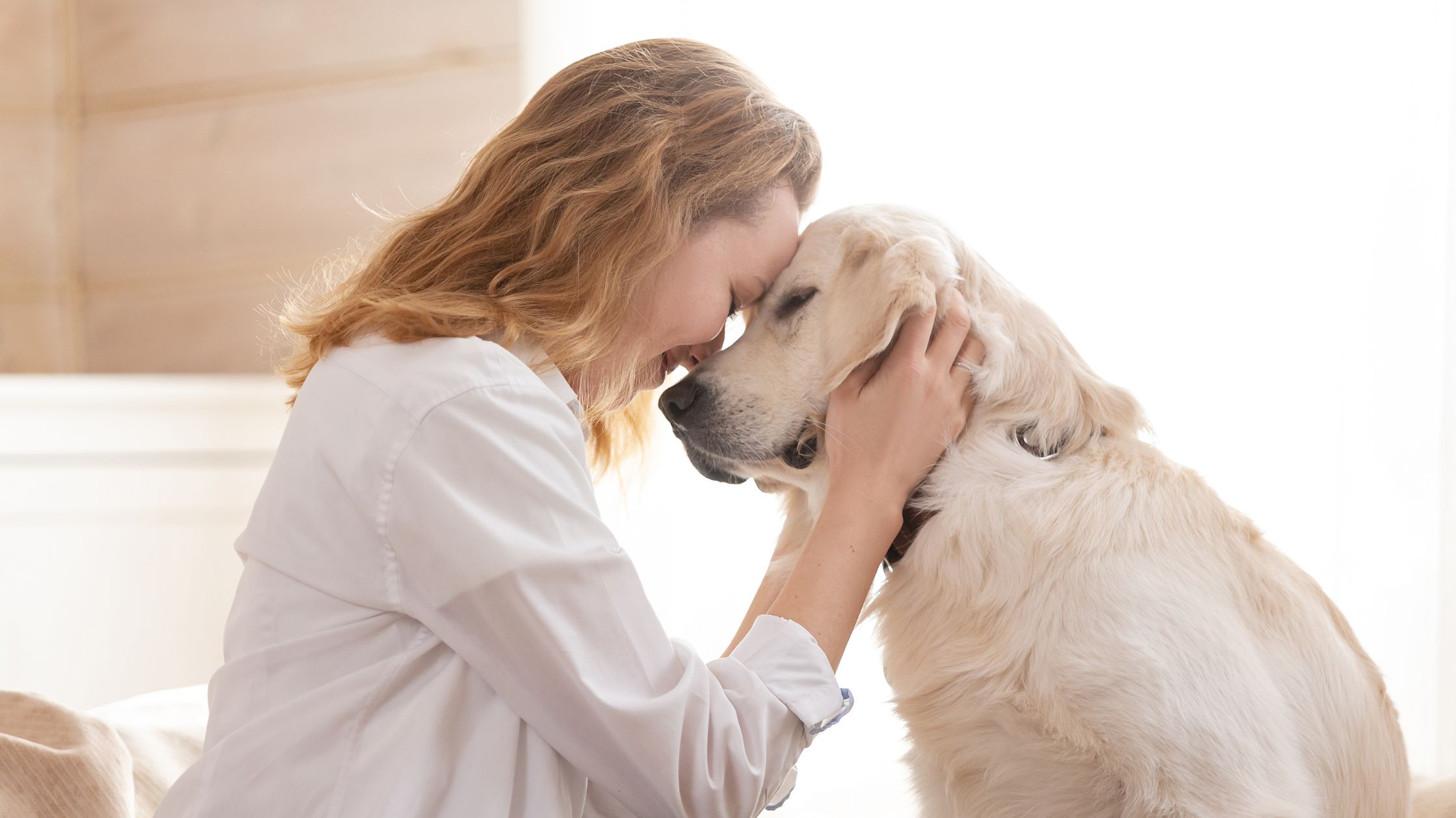 How Pet Custody Works in New Jersey